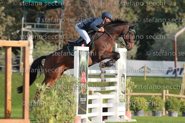 ROGIANI_ADELSCOT_GIO CAV 2011_SS3_7793.jpg